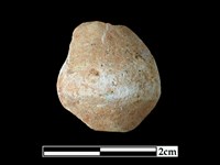 藏品(陶紡輪)的圖片