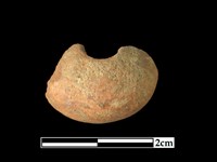 藏品(陶紡輪)的圖片