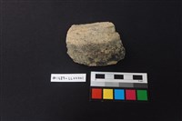 藏品(陶片)的圖片