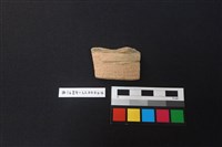 藏品(陶片)的圖片