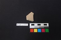 藏品(陶片)的圖片