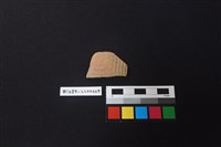 藏品(陶片)的圖片