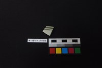 藏品(瓷片)的圖片