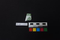 藏品(瓷片)的圖片