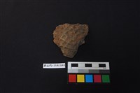 藏品(陶片)的圖片