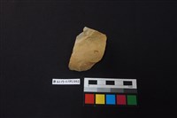 藏品(陶片)的圖片