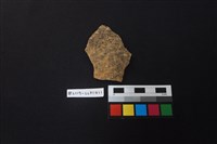 藏品(陶片)的圖片