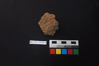 藏品(陶片)的圖片