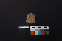 藏品(陶片)的圖片