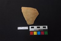 藏品(陶片)的圖片