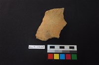 藏品(陶片)的圖片