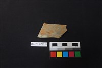 藏品(陶片)的圖片