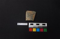 藏品(陶片)的圖片