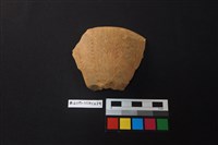 藏品(陶片)的圖片