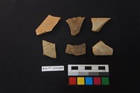 藏品(陶片)的圖片