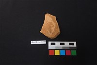 藏品(陶片)的圖片