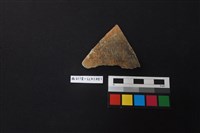 藏品(陶片)的圖片