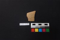 藏品(陶片)的圖片