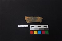 藏品(陶片)的圖片