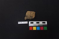 藏品(陶片)的圖片