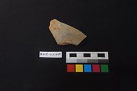 藏品(陶片)的圖片