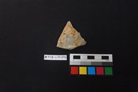 藏品(陶片)的圖片