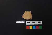 藏品(陶片)的圖片