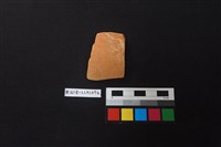 藏品(陶片)的圖片