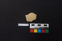 藏品(陶片)的圖片