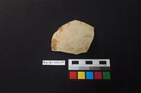 藏品(陶片)的圖片