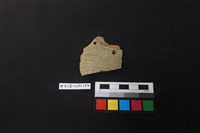 藏品(陶片)的圖片