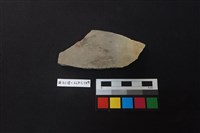 藏品(陶片)的圖片