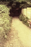 藏品(1950至2006年臺灣常民生活)的圖片