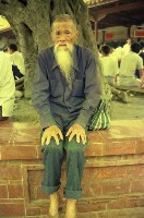 藏品(1950至2006年臺灣常民生活)的圖片