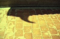 藏品(1950至2006年臺灣常民生活)的圖片