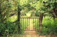 藏品(1950至2006年臺灣常民生活)的圖片