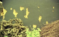 藏品(1950至2006年臺灣常民生活)的圖片