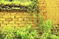 藏品(1950至2006年臺灣常民生活)的圖片