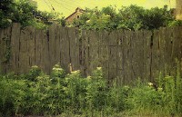 藏品(1950至2006年臺灣常民生活)的圖片