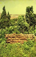 藏品(1950至2006年臺灣常民生活)的圖片