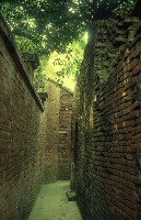 藏品(1950至2006年臺灣常民生活)的圖片