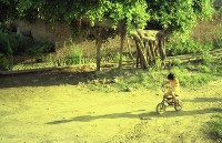 藏品(1950至2006年臺灣常民生活)的圖片