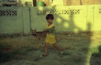 藏品(1950至2006年臺灣常民生活)的圖片