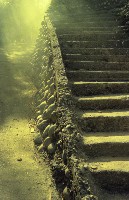 藏品(1950至2006年臺灣常民生活)的圖片