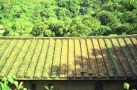 藏品(1950至2006年臺灣常民生活)的圖片