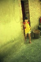 藏品(1950至2006年臺灣常民生活)的圖片