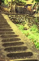 藏品(1950至2006年臺灣常民生活)的圖片