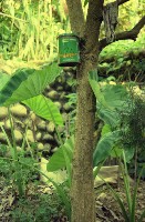 藏品(1950至2006年臺灣常民生活)的圖片