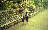 藏品(1950至2006年臺灣常民生活)的圖片