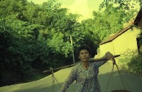 藏品(1950至2006年臺灣常民生活)的圖片